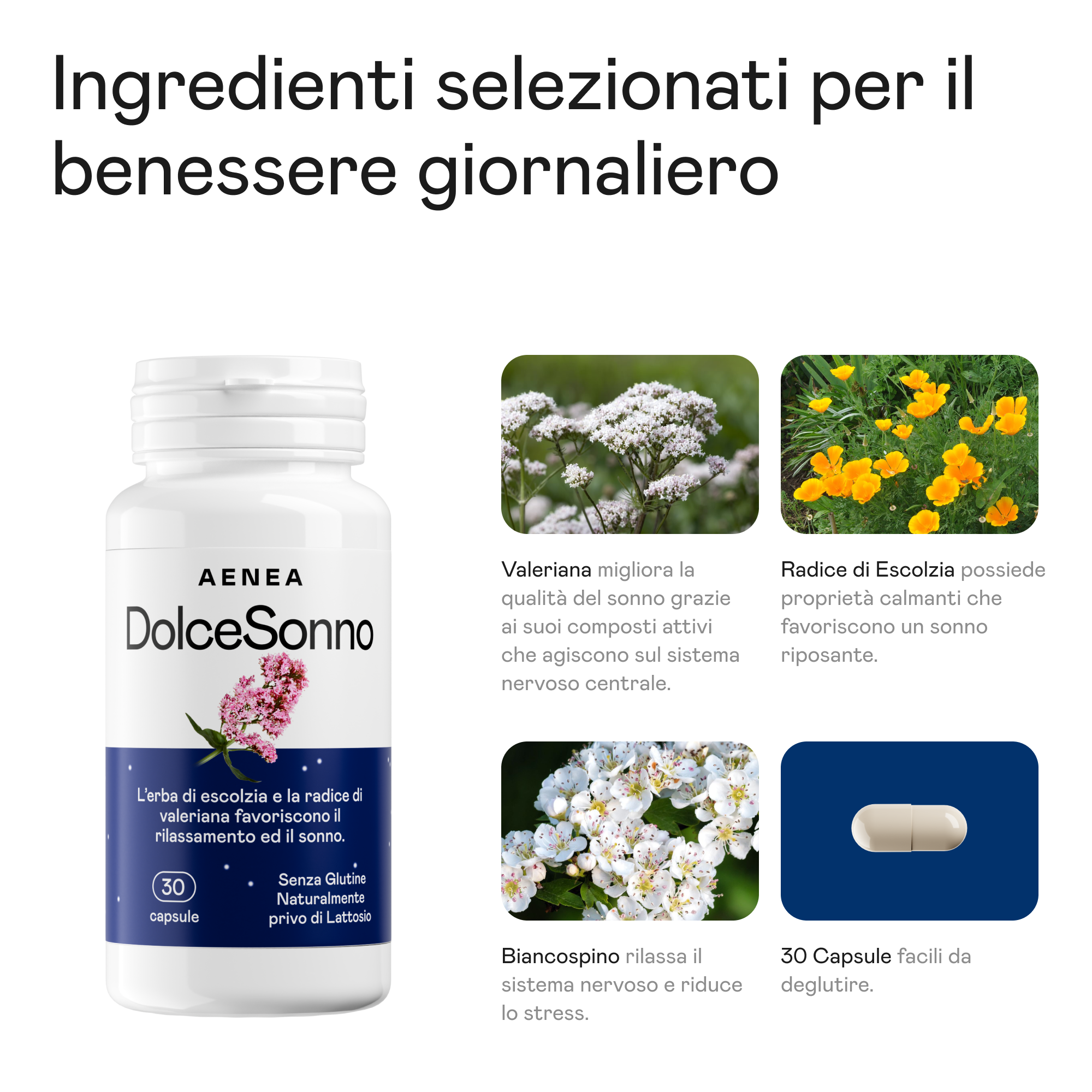 Kit Menopausa