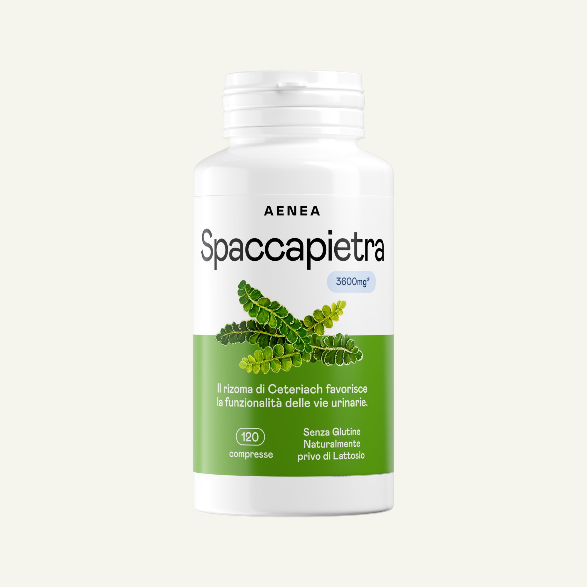 Spaccapietra