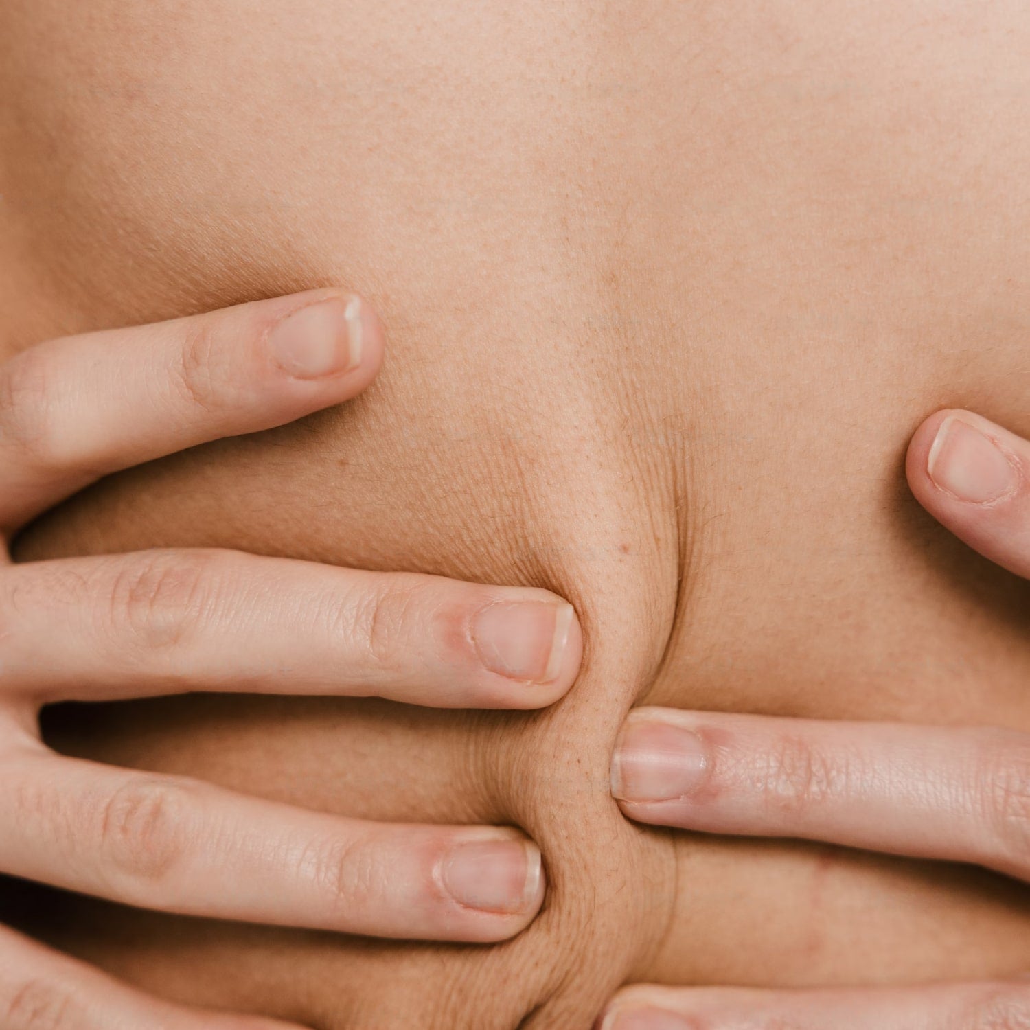 Intestino & Probiotici