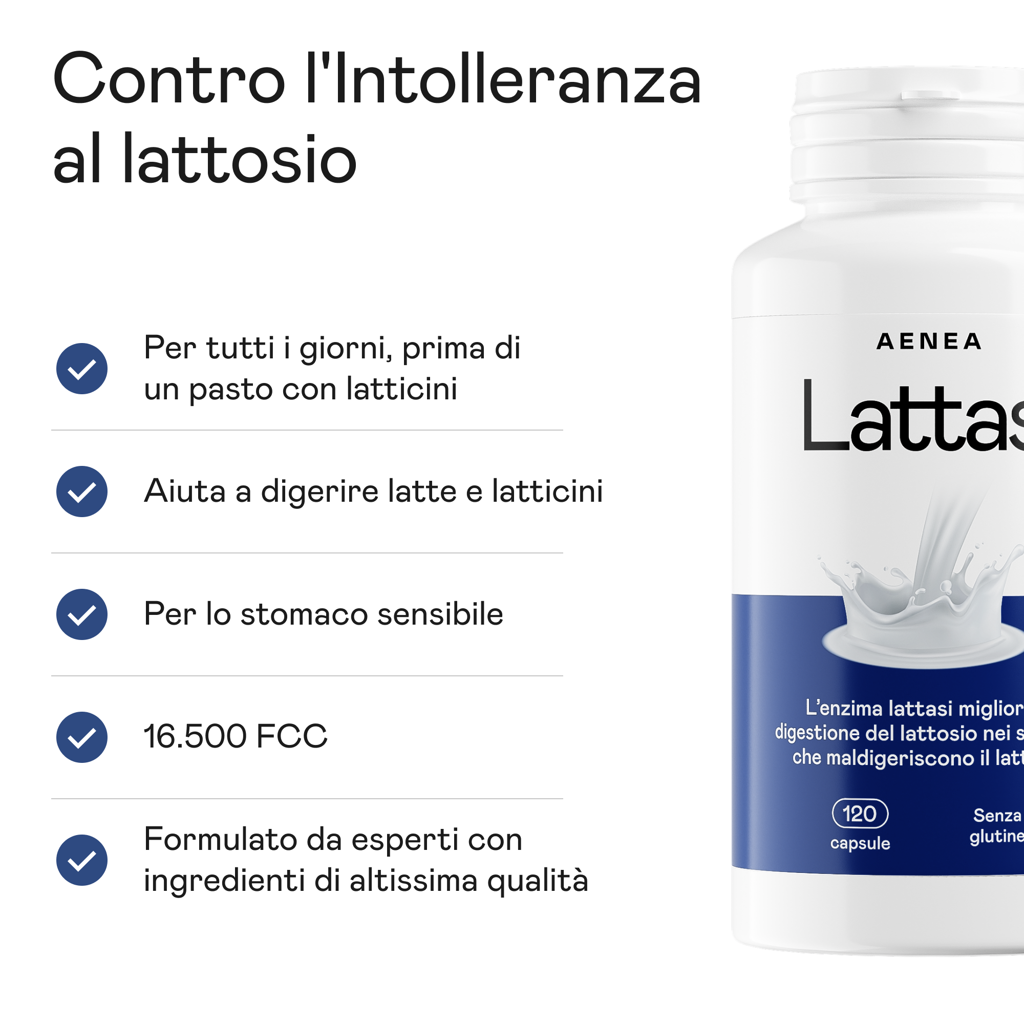 Lattasi