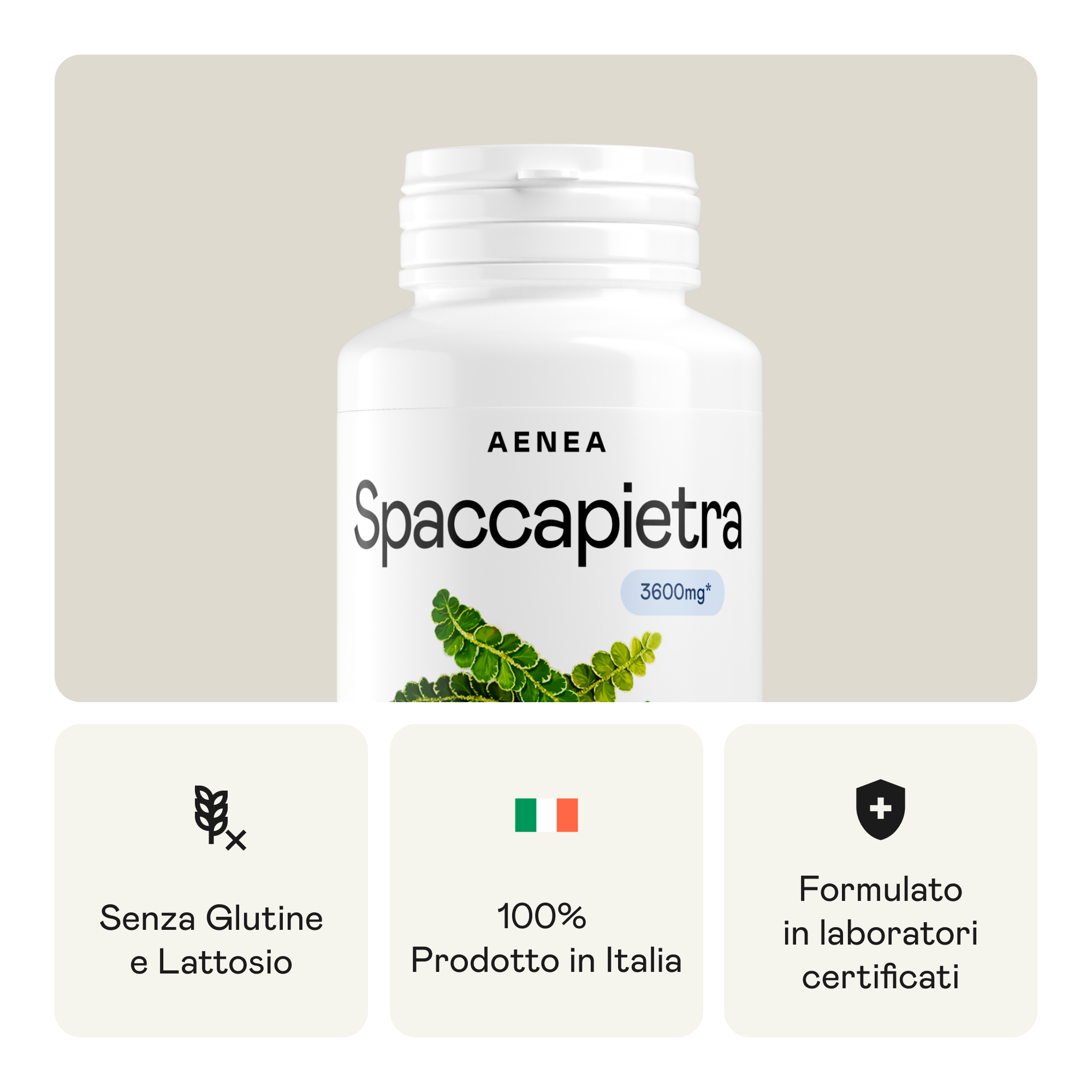 Spaccapietra