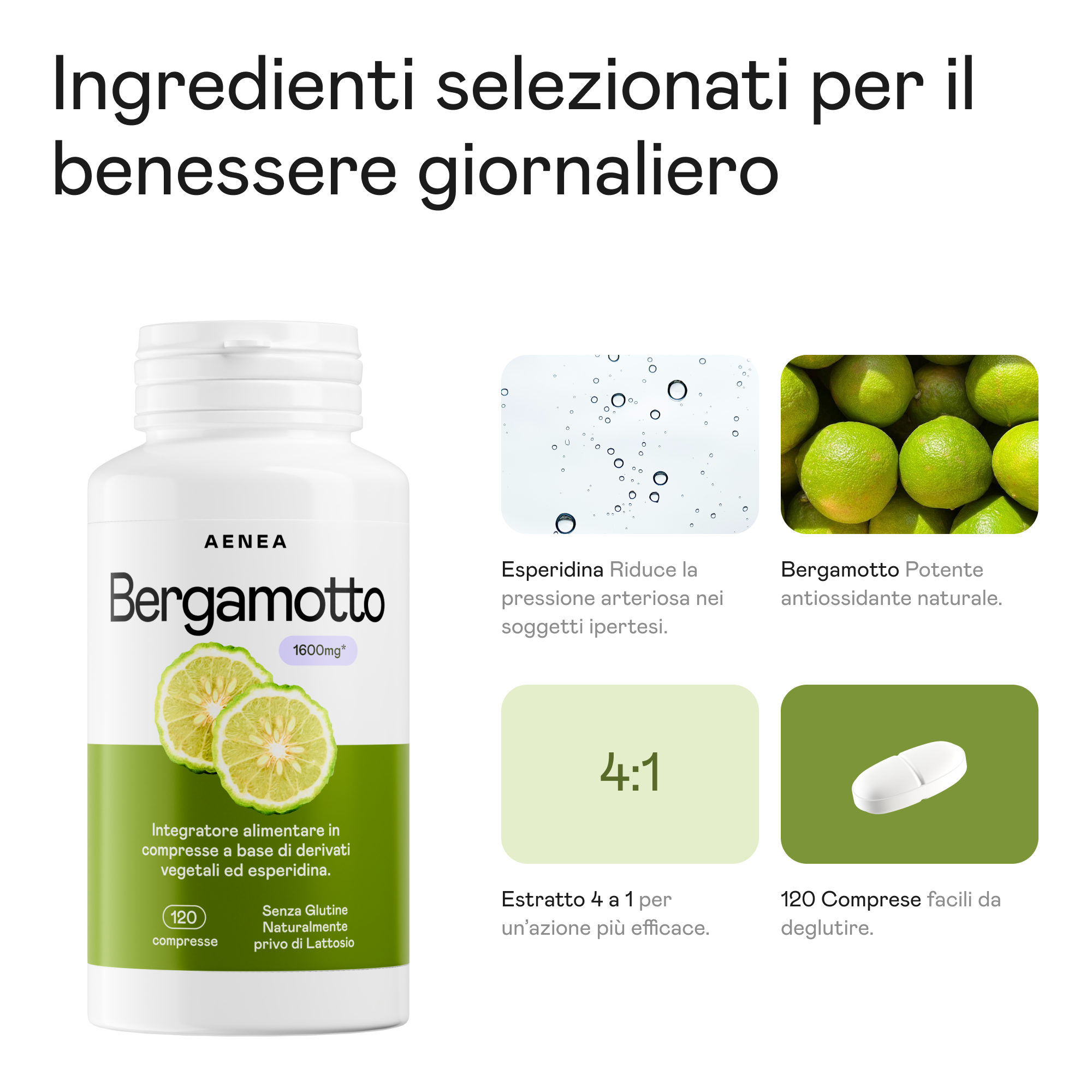 Bergamotto