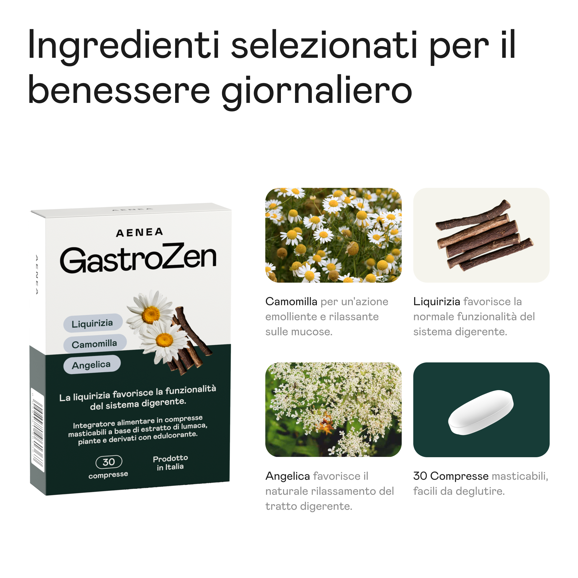 GastroZen